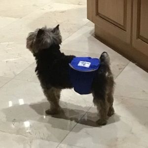 Meet your Posher, Dewey